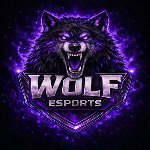WWOLF ESPORTS