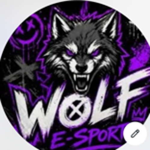 WOLF ESPORTS🇹🇷