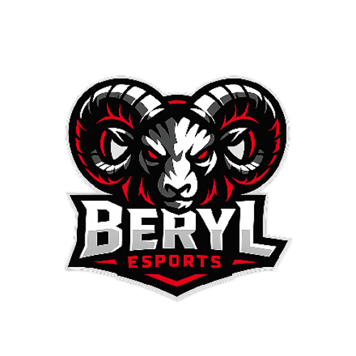 BERYL ESPORTS