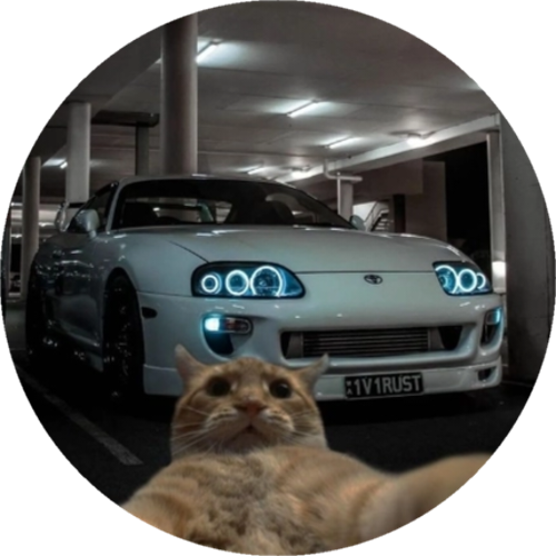 Kedi
