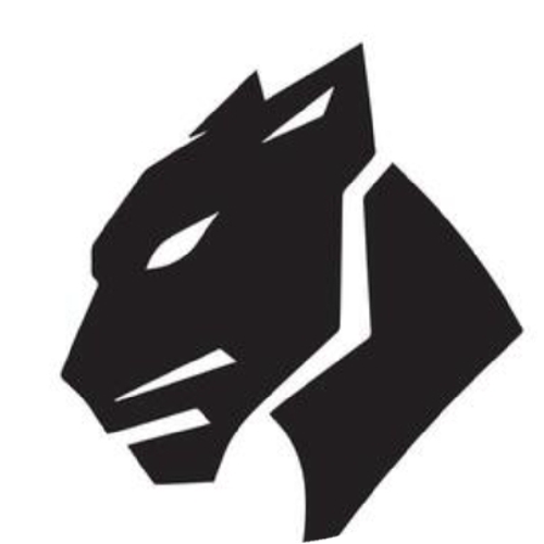 PHZ Esports
