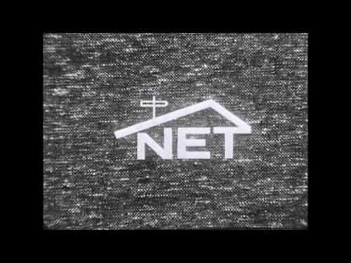 TEAM NET logo