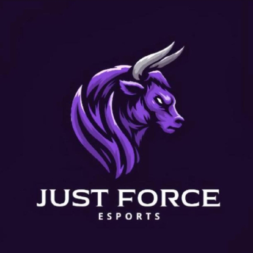 JUST FORCE TEAM
