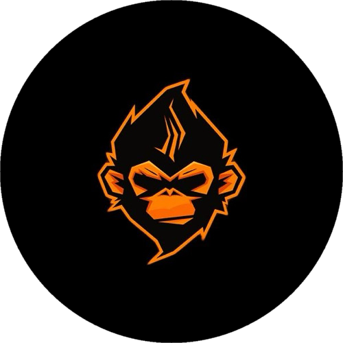 NXQ ESPORTS