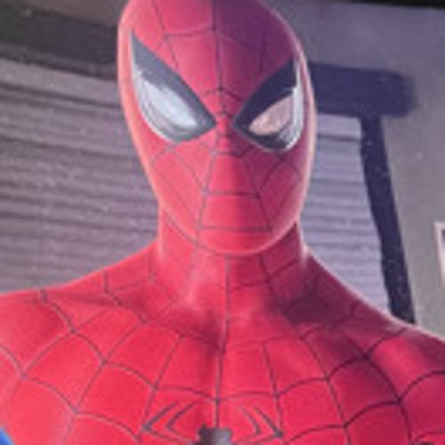 Spider Team