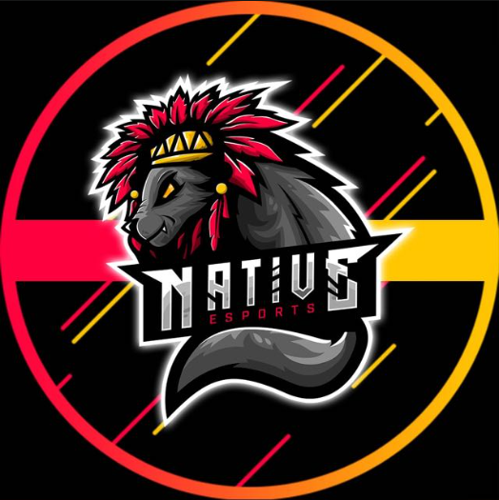 Native Esports