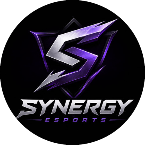 SYNERGY E SPORTS