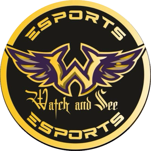 WATCH AND SEE ESPORTS
