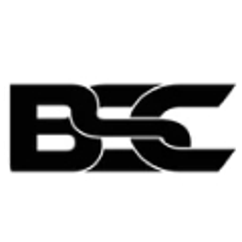 BSC E-spor