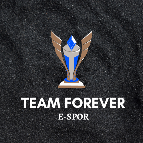 Team Forever logo