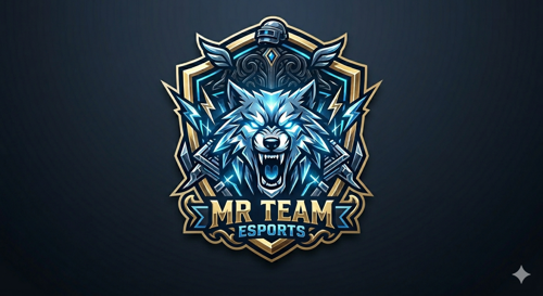 MR๛『TEAM