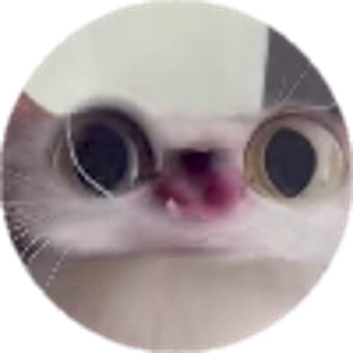 DENEME KADRO2