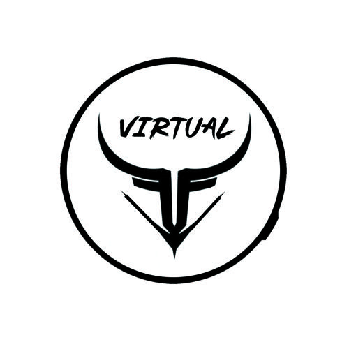 Team Virtual logo