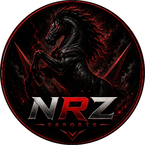 NRZ Esports