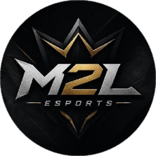 M2L ESPORTS