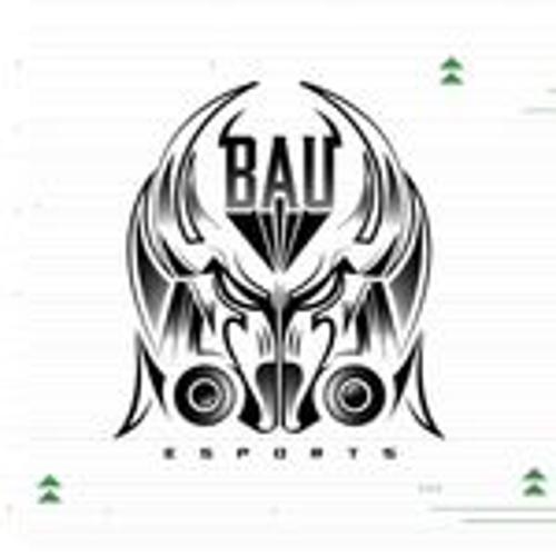 BAU eSports logo