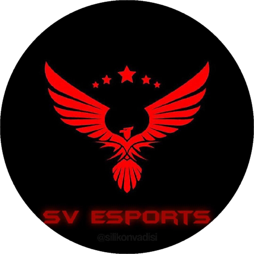 SİLİKON VADİSİ ESPORTS