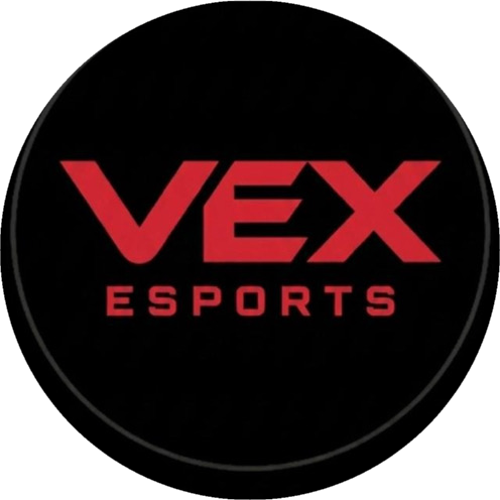 VEX TAKIMI