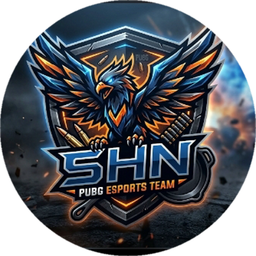 SHN ESPORTS