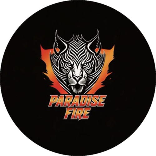 ES PARADİSEFİRE ESPORTS