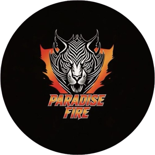 ES PARADİSEFİRE ESPORTS