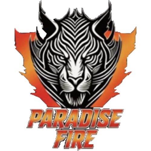 ES PARADİSEFİRE ESPORTS