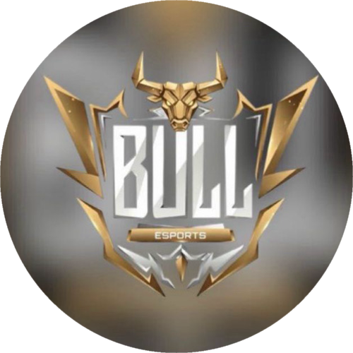 BULL ESPORTSS
