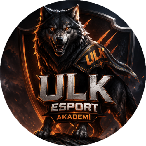 ULK- akademi