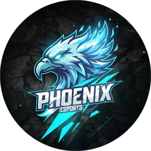 PHOENİXX ESPORTS