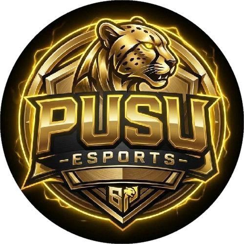 PUSU ESPORTS