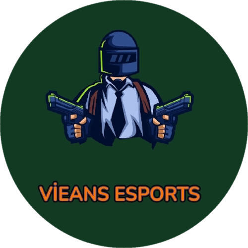 VİENAS ESPORTS