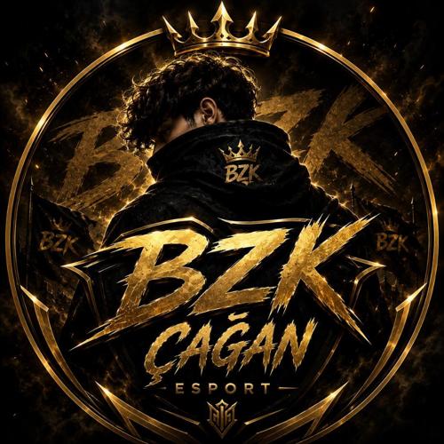 BOZKURT ESPOR