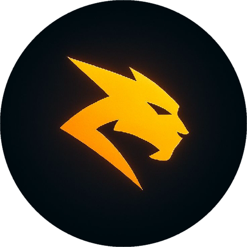 VYN Esports