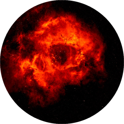 Nebula Rose ESPORT