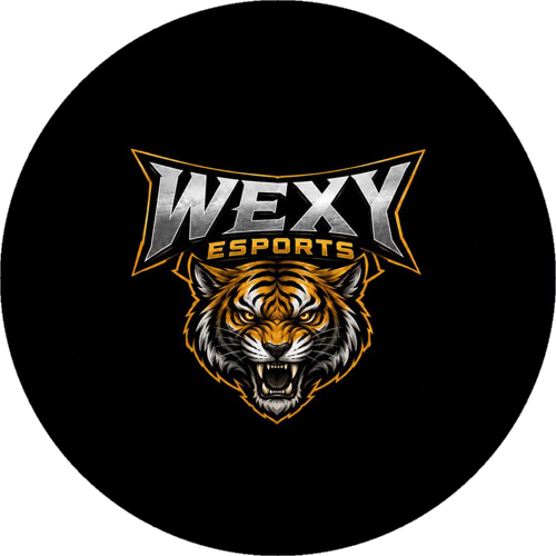 WEXY ESPORTS