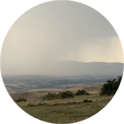 BINGOL