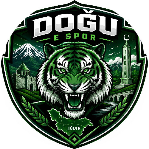 DOĞU E SPORTSS