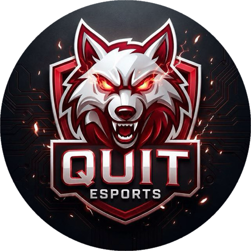 QUIT ESPORTSS