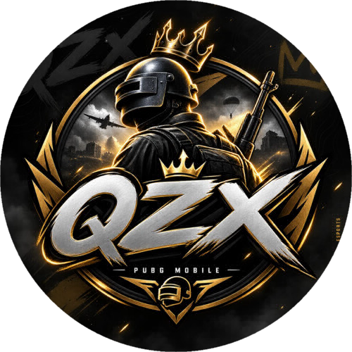 QZX ESPORTS