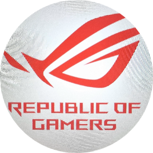 Republıc OF Gamers