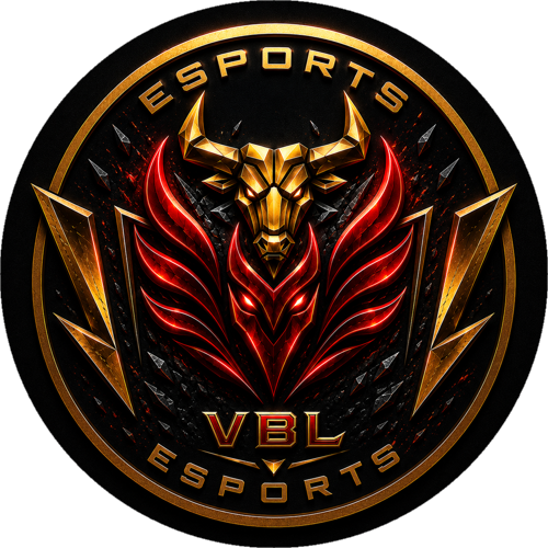 VBL ESPORTS