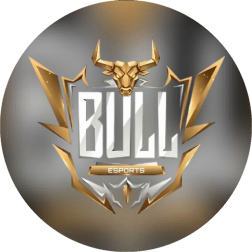 BULL FUTURE