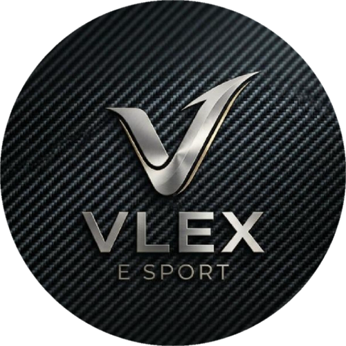 VLEX ESPORTS