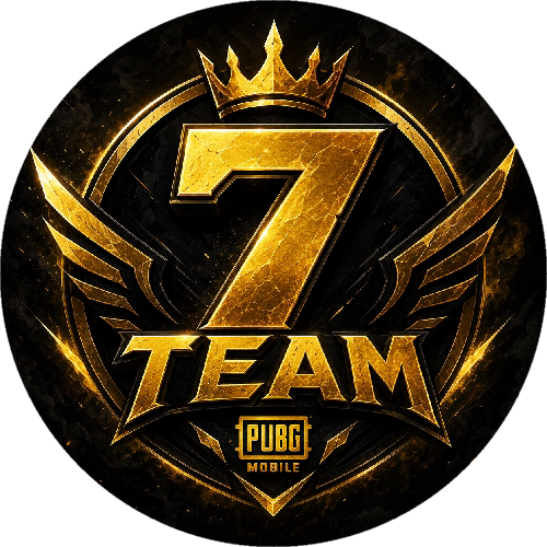 7 Team