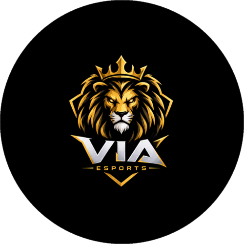 VİA Esports.
