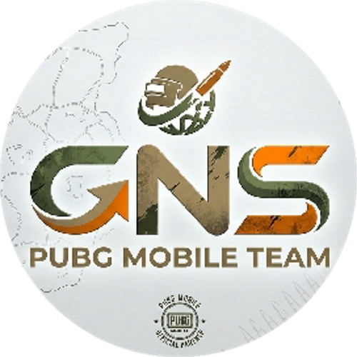 Gns esport