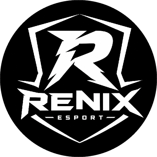 RENİX ESPORT