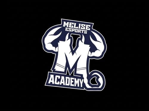 Melise Esports Academy