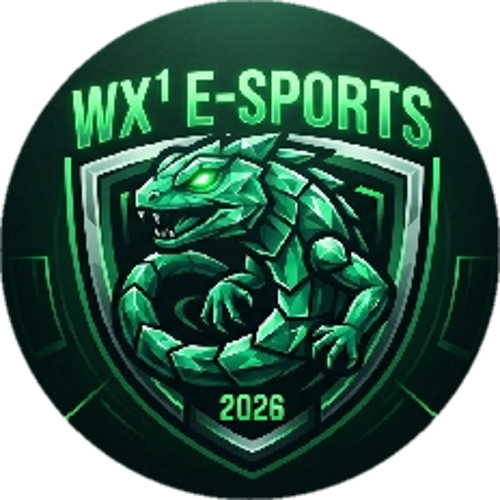 WX¹ E-Sports