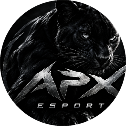 APX ESPORT